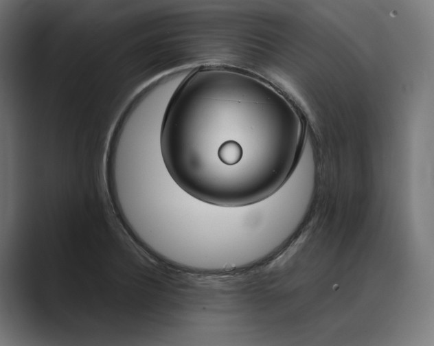 X0000089350932200706291018