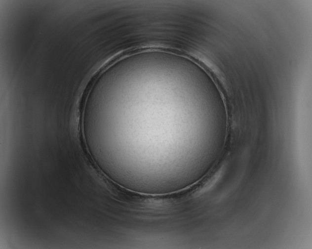 X0000089350933200706291018