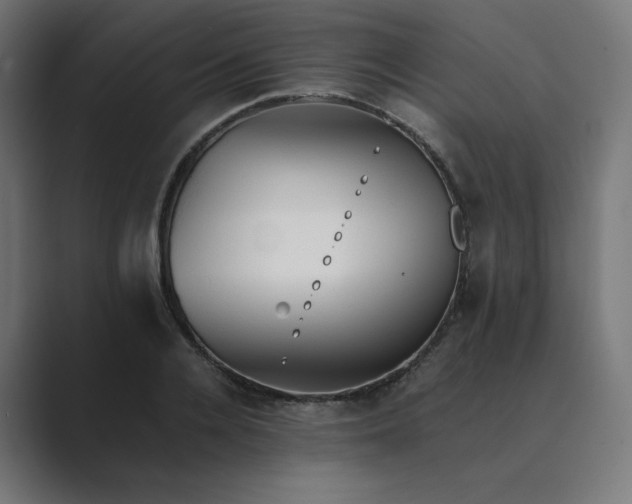 X0000089350936200706291018