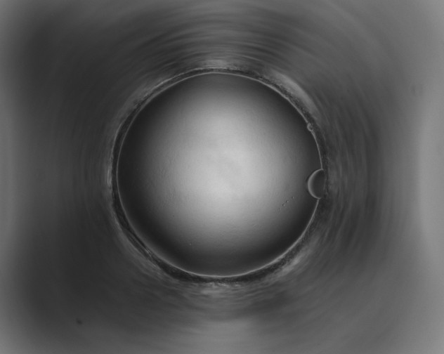 X0000089350938200706291018