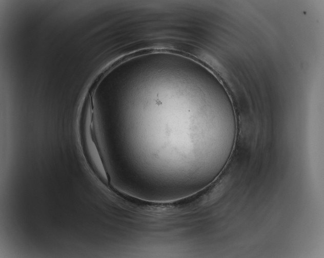 X0000089350939200706291018