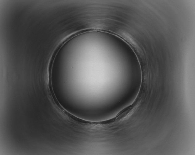 X0000089350940200706291018