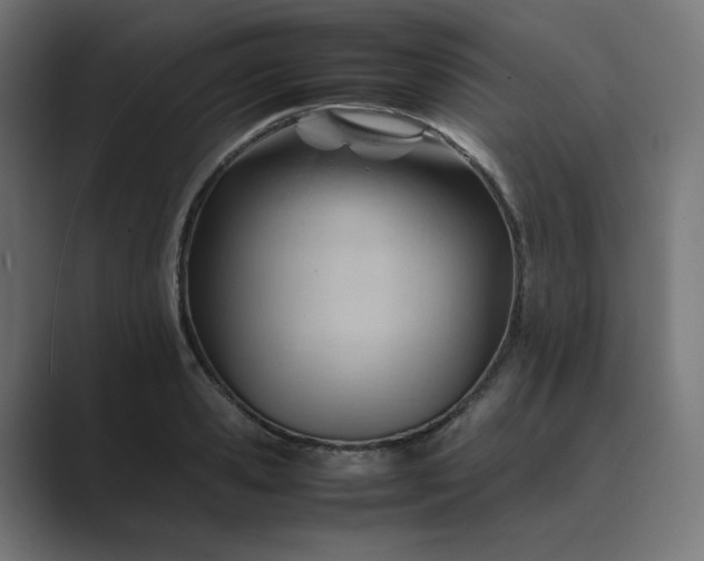 X0000089350941200706291018