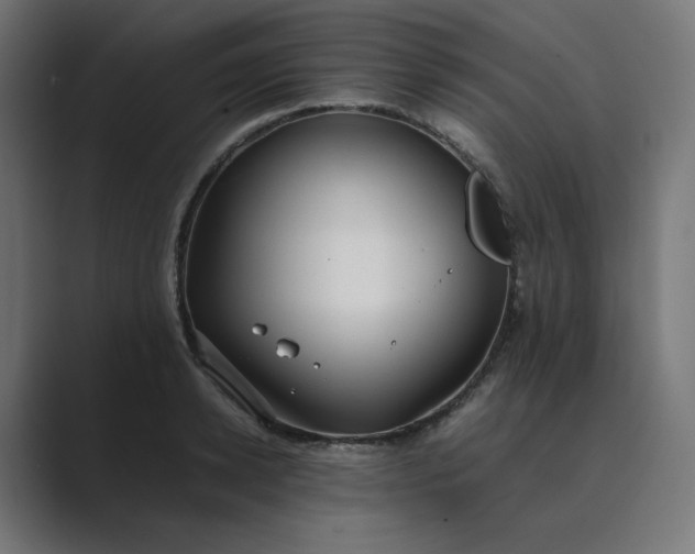 X0000089350942200706291018