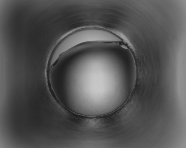 X0000089350943200706291018
