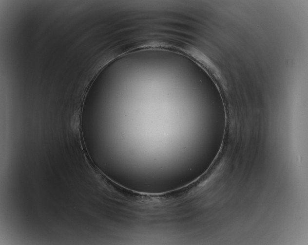 X0000089350945200706291018