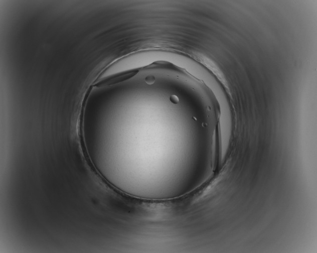 X0000089350946200706291018