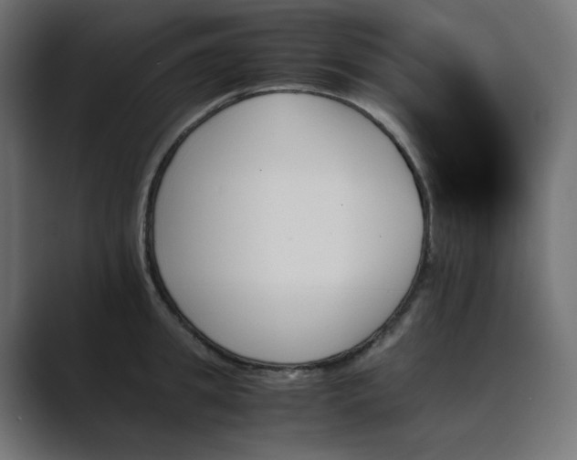 X0000089350949200706291018