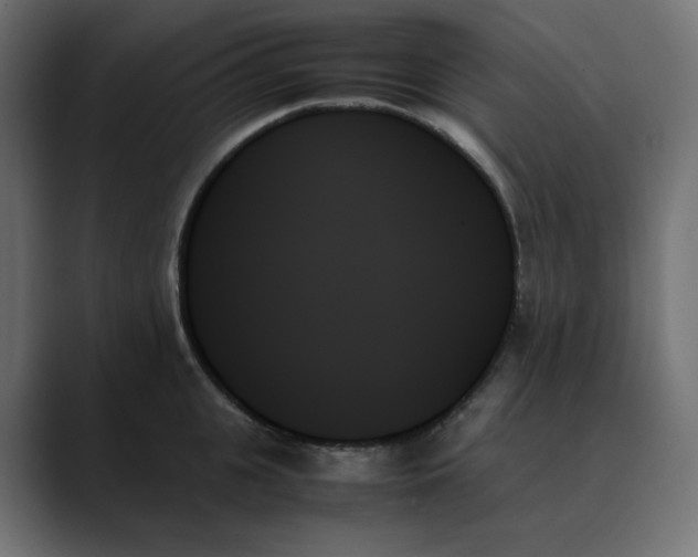 X0000089350951200706291018