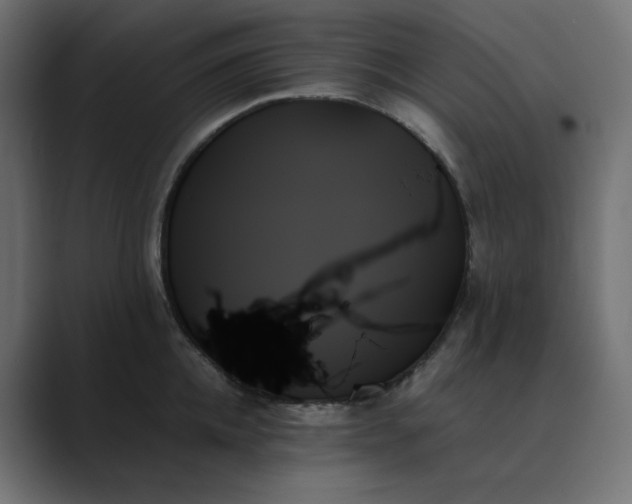 X0000089350952200706291018