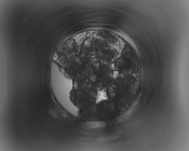 X0000089350953200706291018