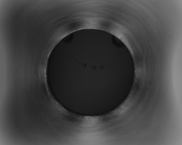 X0000089350954200706291018