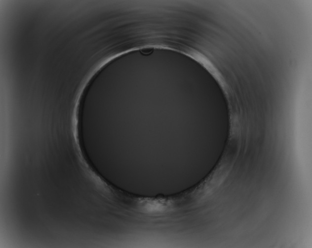 X0000089350955200706291018