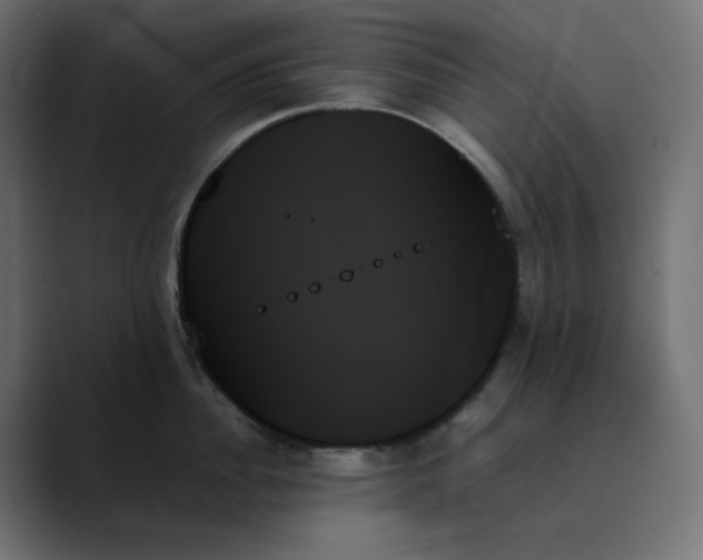 X0000089350956200706291019