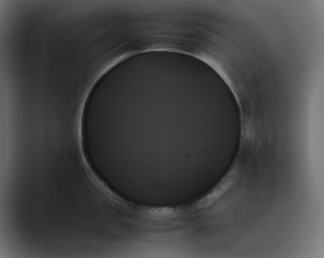 X0000089350957200706291019