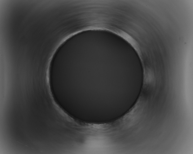 X0000089350958200706291019