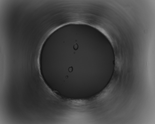 X0000089350959200706291019