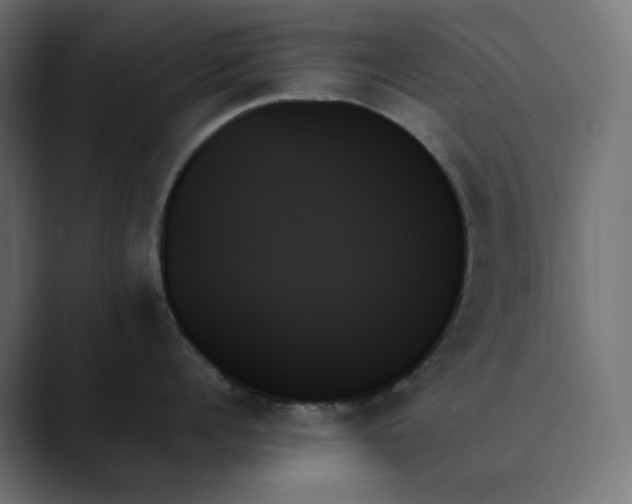 X0000089350960200706291019
