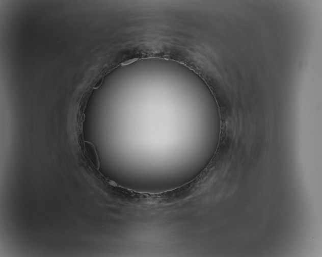 X0000089350961200706291018