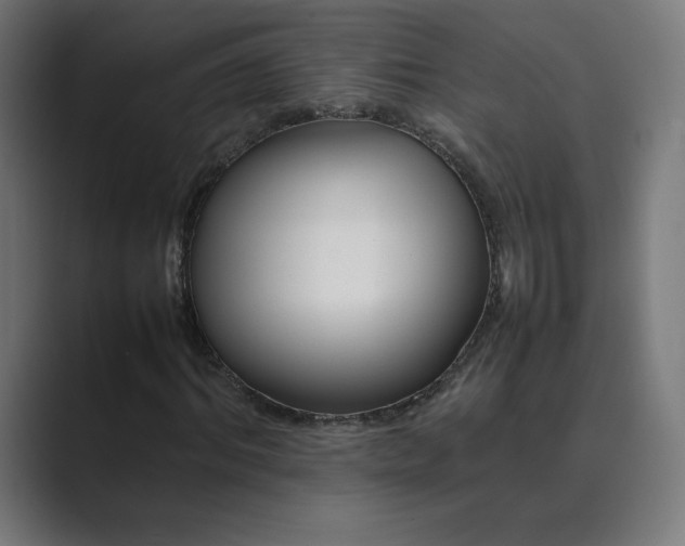 X0000089350964200706291018