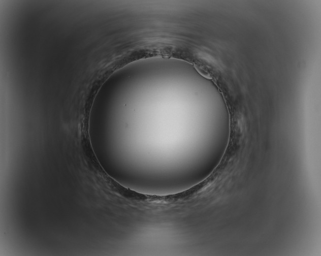 X0000089350965200706291018