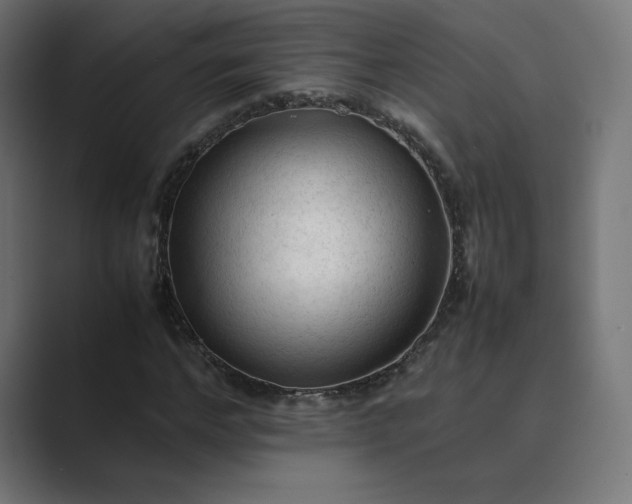X0000089350968200706291018