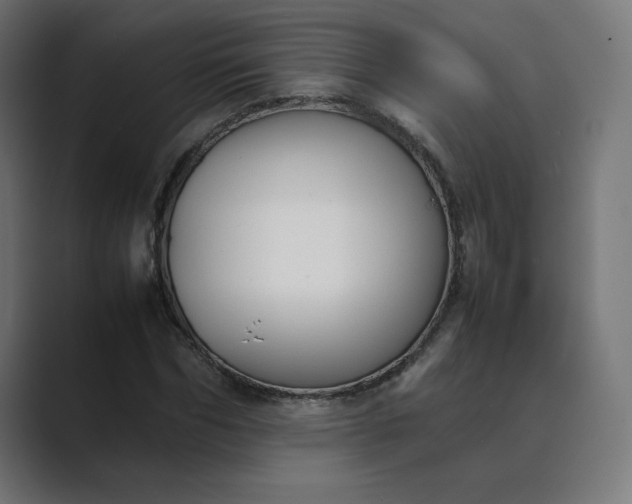 X0000089350970200706291018