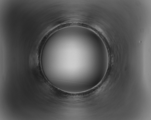 X0000089350973200706291018