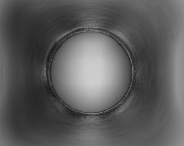 X0000089350974200706291018
