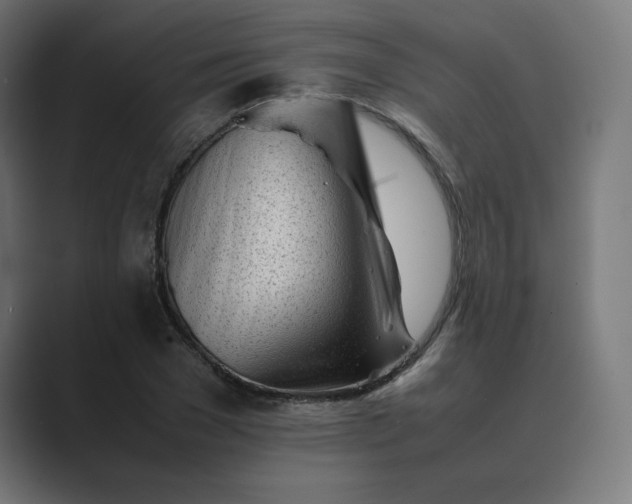 X0000089350977200706291018