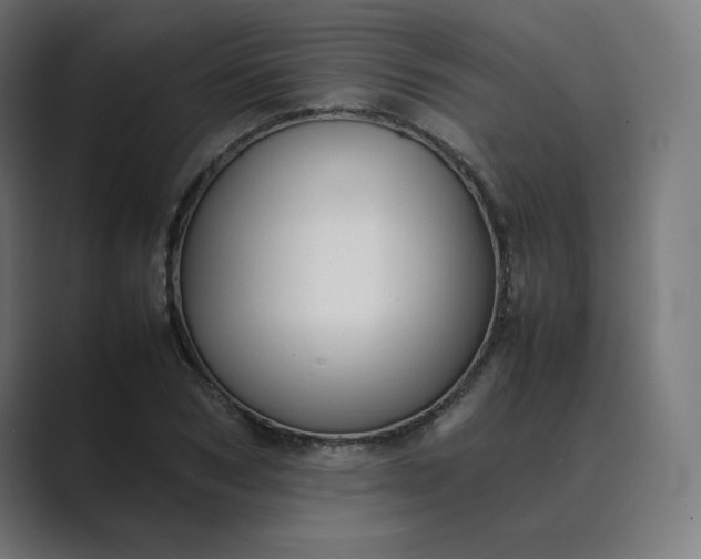 X0000089350978200706291018