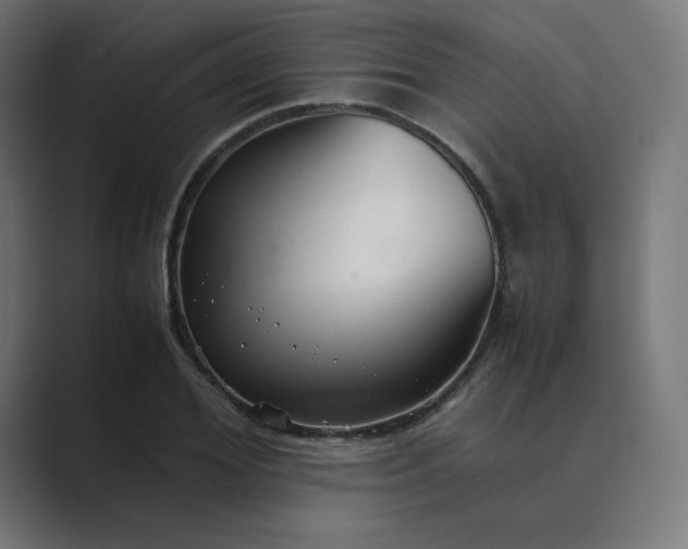 X0000089350980200706291018