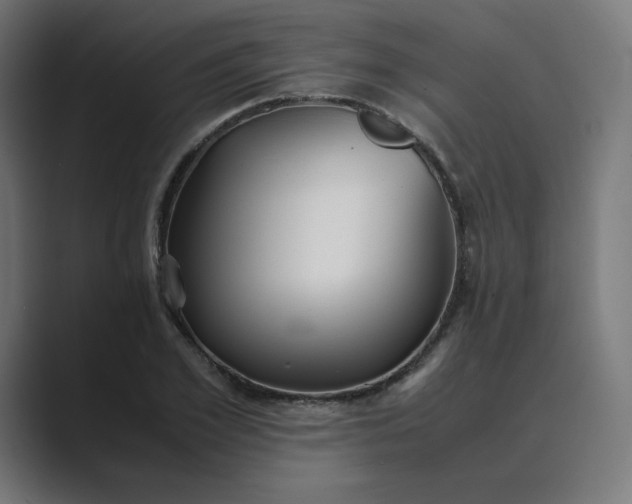X0000089350981200706291018
