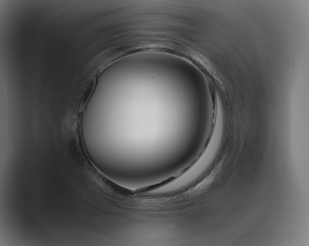 X0000089350985200706291018