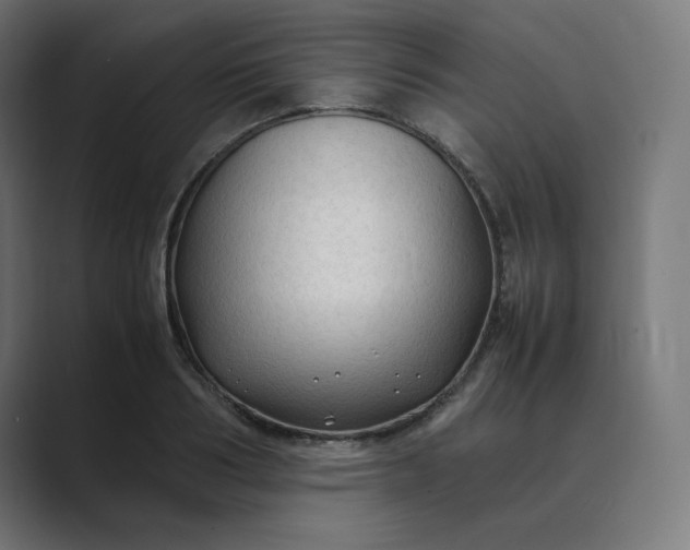 X0000089350986200706291018
