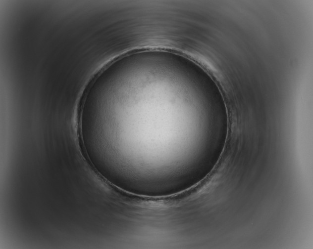 X0000089350990200706291018