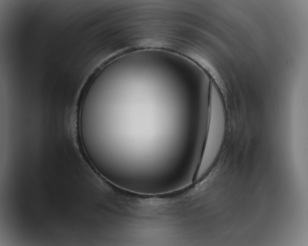 X0000089350992200706291018