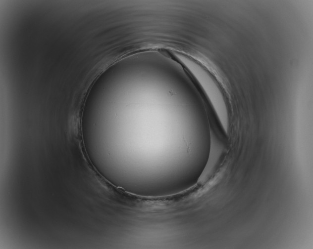 X0000089350993200706291018