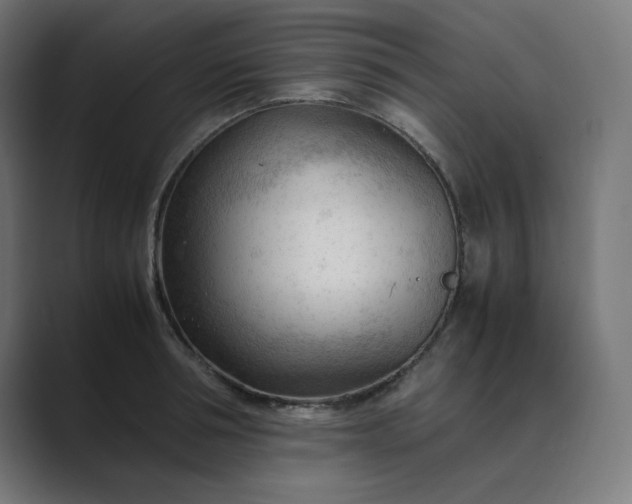X0000089350994200706291018