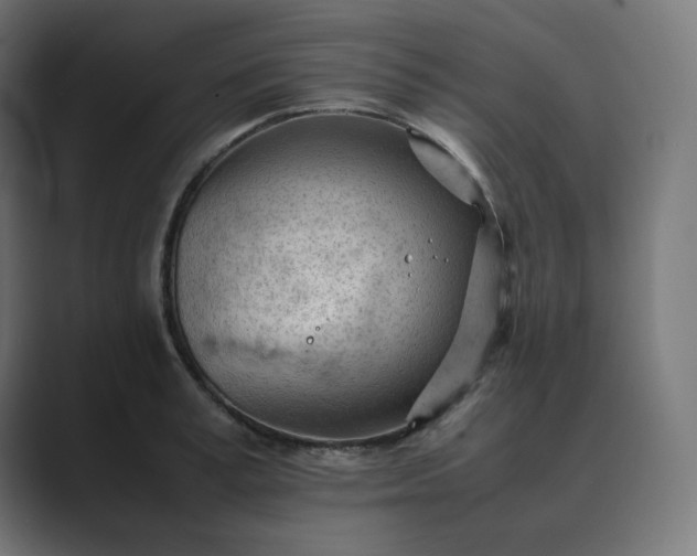 X0000089350995200706291017
