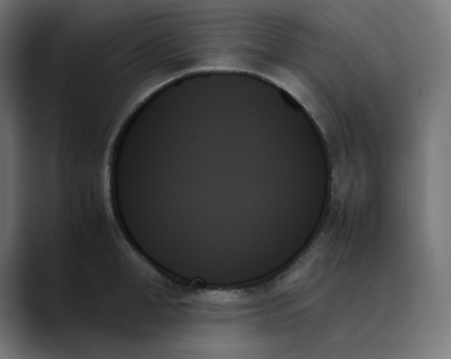 X0000089350998200706291017