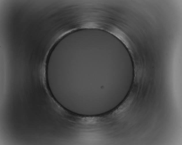 X0000089351000200706291017