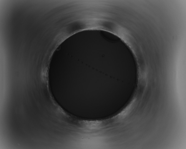 X0000089351001200706291017