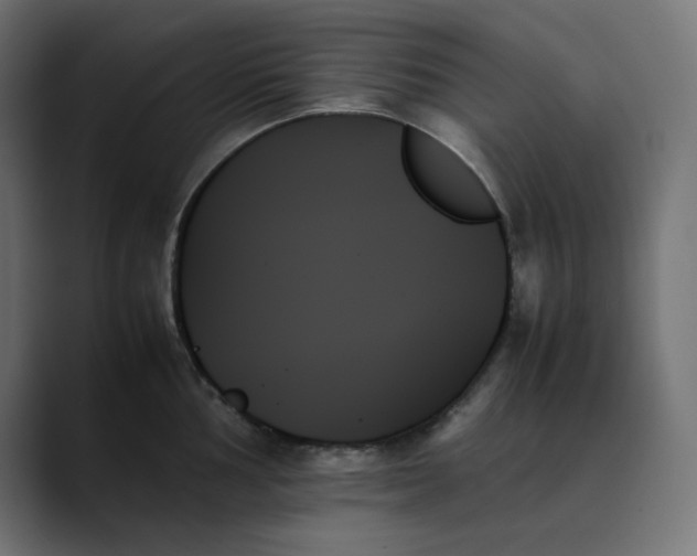 X0000089351002200706291017
