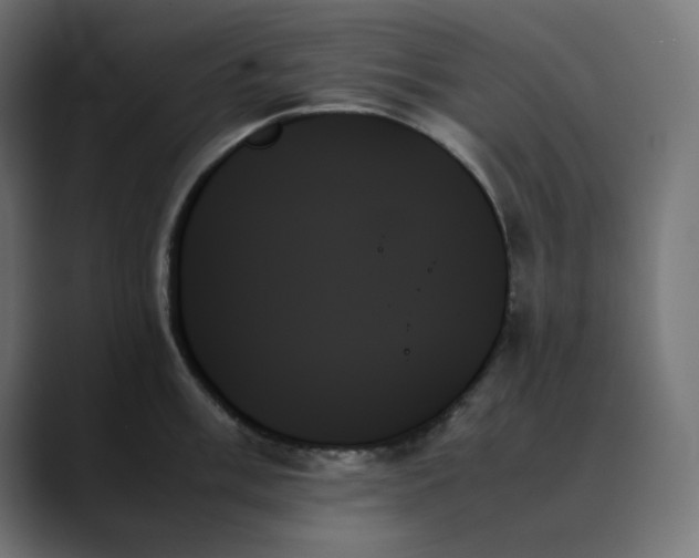 X0000089351003200706291017