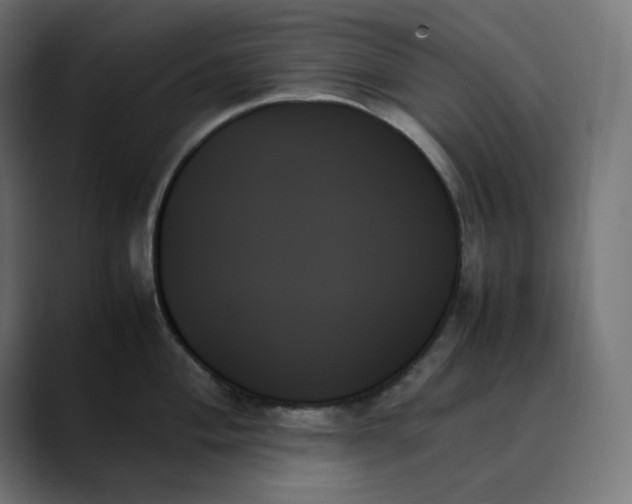 X0000089351004200706291017