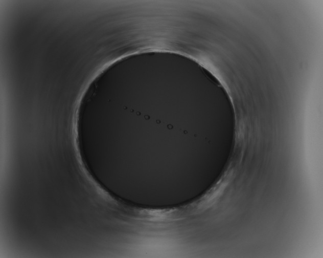 X0000089351005200706291017