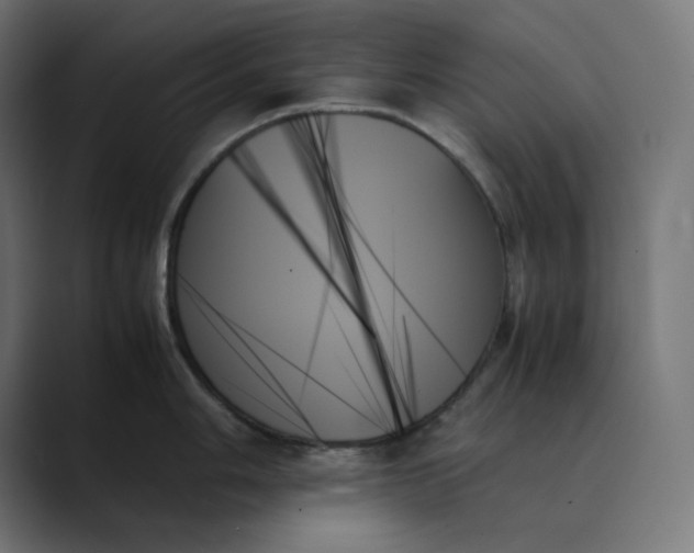X0000089351006200706291017