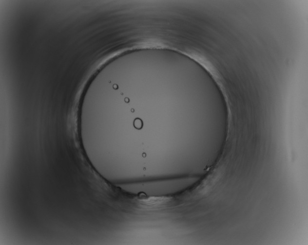 X0000089351008200706291017