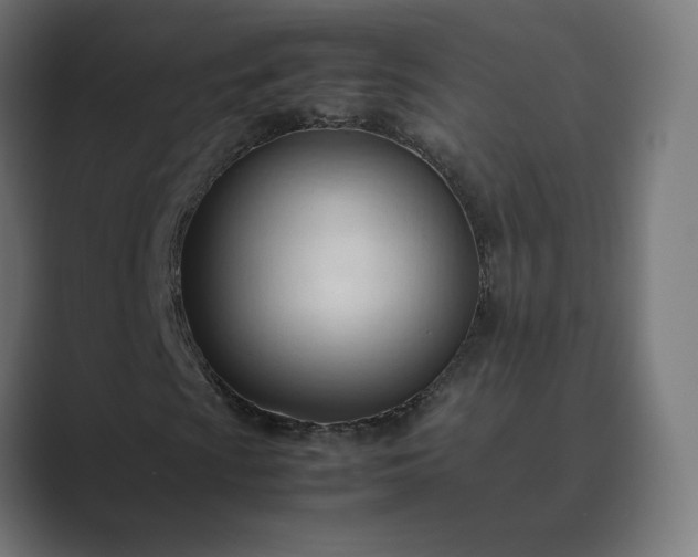 X0000089351009200706291017